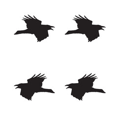 Elegant Bird Vector Collection – Minimalist and Colorful Flying Birds Illustration for Nature Projects .