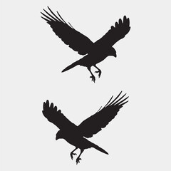 Elegant Bird Vector Collection – Minimalist and Colorful Flying Birds Illustration for Nature Projects .