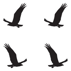 Elegant Bird Vector Collection – Minimalist and Colorful Flying Birds Illustration for Nature Projects .