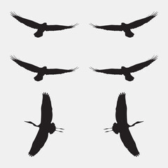 Elegant Bird Vector Collection – Minimalist and Colorful Flying Birds Illustration for Nature Projects .