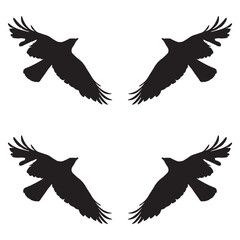 Elegant Bird Vector Collection – Minimalist and Colorful Flying Birds Illustration for Nature Projects .