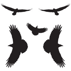 Elegant Bird Vector Collection – Minimalist and Colorful Flying Birds Illustration for Nature Projects .