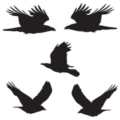 Elegant Bird Vector Collection – Minimalist and Colorful Flying Birds Illustration for Nature Projects .
