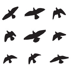 Elegant Bird Vector Collection – Minimalist and Colorful Flying Birds Illustration for Nature Projects .