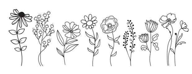 Botanical, Helping little minds grow, Teacher grow, Floral,Teacher Life, Flower leaf,leaves, Botanical clipart hand drawn doodle style