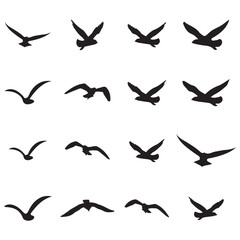 Elegant Bird Vector Collection – Minimalist and Colorful Flying Birds Illustration for Nature Projects .