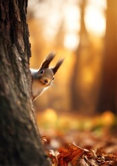 Obraz premium Un écureuil adorable, tête surgissant avec oreilles dressées de derrière un arbre, entouré de feuilles mortes, dans une forêt d'automne, concept drôle et insolite, image avec espace pour texte.