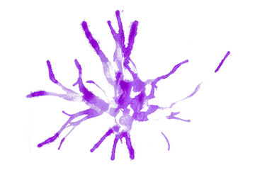 Purple watercolor splash with dynamic splash effect on transparent background. Watercolor brush.