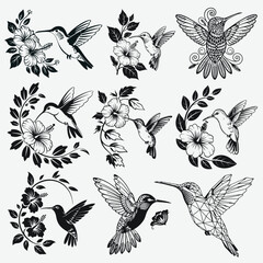 Hummingbird with Flower Illustration Vector Design Bundle