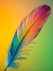 Obraz premium Colorful feathers.