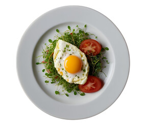Minimalist plate with egg white omelet isolated png