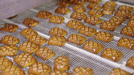 Cookies moving on conveyor belt in food processing plant