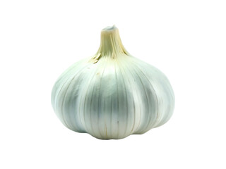 Obraz premium garlic isolated on white background