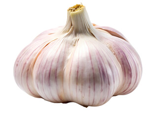 Obraz premium garlic isolated on white background