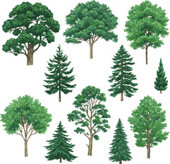 sat of the tree forest victor design with white background.