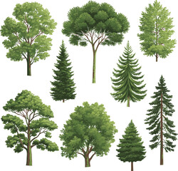 sat of the tree forest victor design with white background.