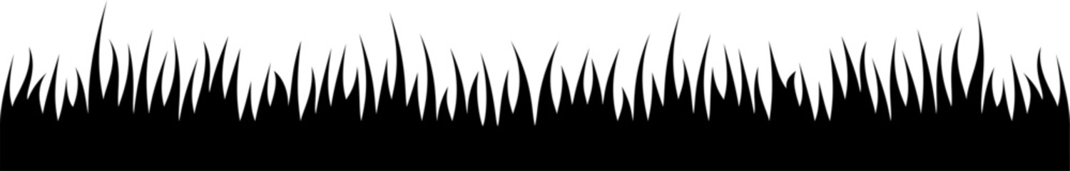 design idea illustration ,The blades of grass grow close together, creating an interesting texture.
This image shows the silhouette of tall, dense grass.
