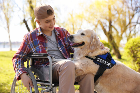 Teenage boy in wheelchair with his service dog at park