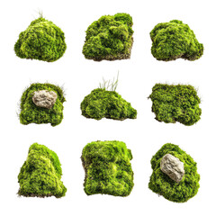 Nine moss-covered rock formations