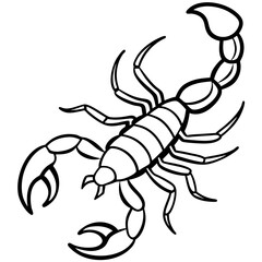Scorpion Silhouette in Line Art