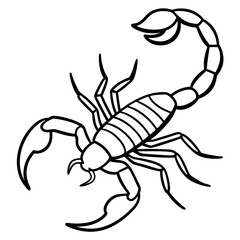Scorpion Silhouette in Line Art