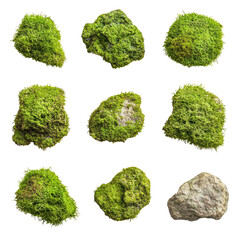 Moss-covered rocks arranged in a grid pattern