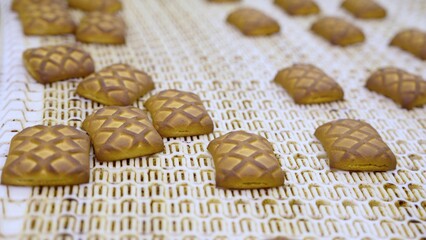 Freshly baked cookies travel on a conveyor belt, ready for packaging in a food production facility