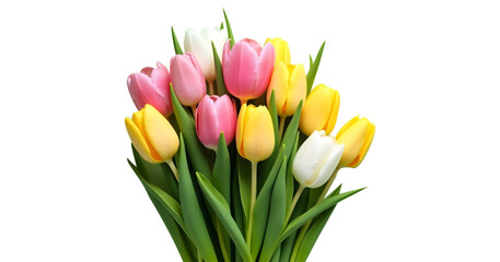 Women's Day celebration concept. Vertical top-view photo featuring an abundance of spring flowers — pink, yellow, and white tulips — beautifully arranged on a light green isolated background, with amp