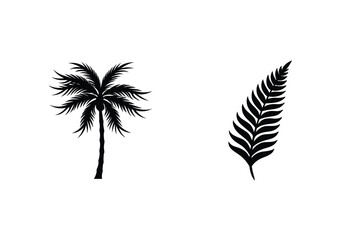 Black Palm Tree And Fern Leaf Silhouette Vector Elements On White Background © nidrarani