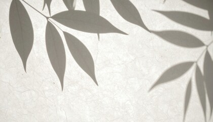 Captivating shadow play of bamboo leaves serene indoor space artistic photography minimalist design natural light tranquil concept