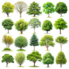 collection of trees