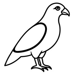 Stylized Hawk Outline Illustration