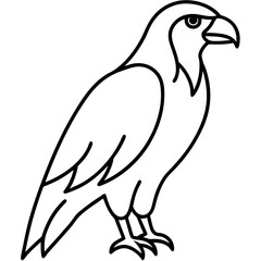 Stylized Hawk Outline Illustration