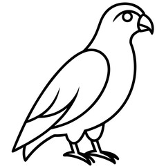 Stylized Hawk Outline Illustration