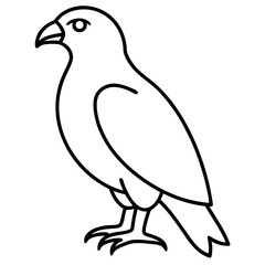 Stylized Hawk Outline Illustration