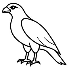 Stylized Hawk Outline Illustration