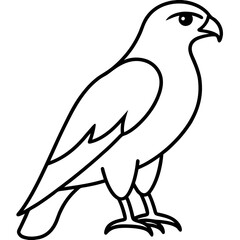 Stylized Hawk Outline Illustration