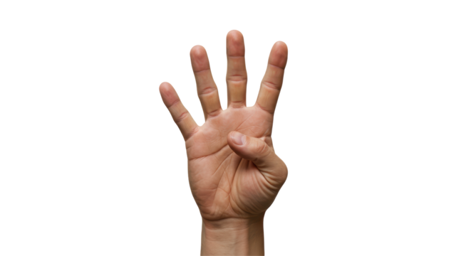 Isolated Human Hand Showing Four Fingers