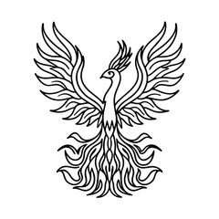 Elegant phoenix bird outlined design illustration of mythological creature with wings spread