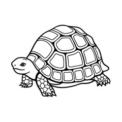 Detailed turtle illustration graphic black and white outline drawing of a reptile simple vector