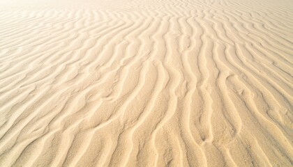 Fototapeta premium Exploring the serene sand dunes desert landscape nature photography warm environment aerial view tranquility concept