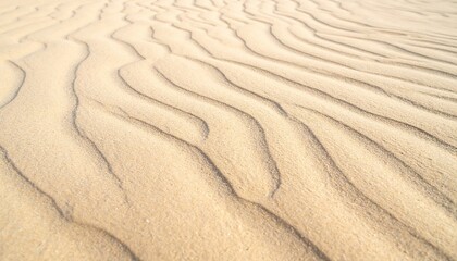 Obraz premium Serene sand dunes desert landscape nature photography warm environment close-up view tranquility and patterns