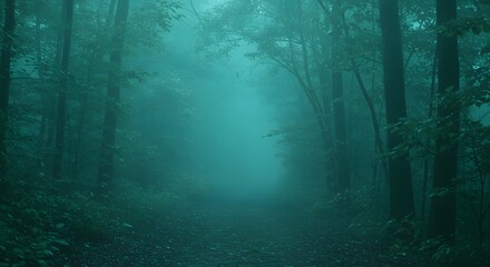 Naklejka premium Path Through Forest in Dense Fog, Moody Atmospheric Scene