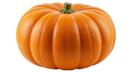 Isolated Orange Pumpkin