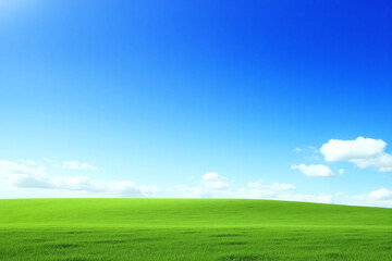 Fototapeta premium field of green grass under a blue sky