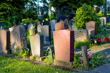 Back of several gravestones in a cemetery. No personal data can be seen.