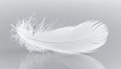 Flying Feather in Mid-Air &ndash; Soft, Elegant and Natural Movement Concept