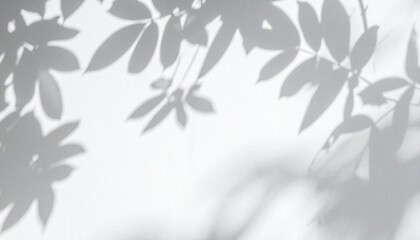 Nature's shadow play delicate leaf silhouettes against a soft background tranquil environment artistic perspective