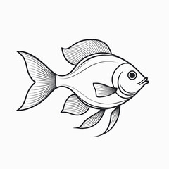 Fototapeta premium Elegant Line Art Fish Drawing Aquatic Animal Illustration White Background