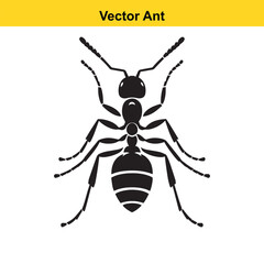 A vector ant